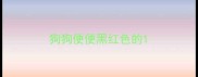 狗狗便便黑红色的