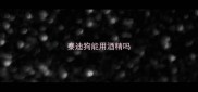 泰迪狗能用酒精吗