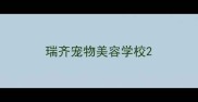 瑞齐宠物美容学校