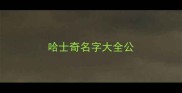 哈士奇名字大全公