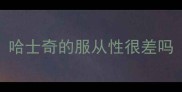 哈士奇的服从性很差吗