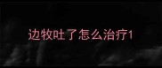 边牧吐了怎么治疗