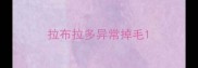 拉布拉多异常掉毛