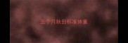 五个月秋田标准体重