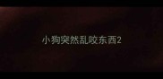 小狗突然乱咬东西