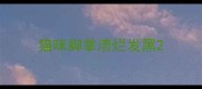 猫咪脚掌溃烂发黑