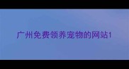 广州免费领养宠物的网站