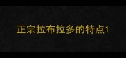 正宗拉布拉多的特点