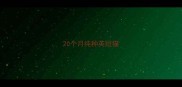 20个月纯种英短猫