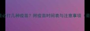 成年吉娃娃必打几种疫苗附疫苗时间表与注意事项最新指南