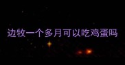 边牧一个多月可以吃鸡蛋吗