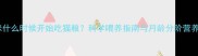 小猫咪什么时候开始吃猫粮科学喂养指南与月龄分阶营养方案