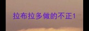 拉布拉多做的不正