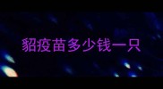 貂疫苗多少钱一只