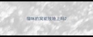 猫咪的窝能放地上吗