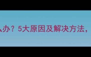 狗狗吐沫沫怎么办5大原因及解决方法养狗人必看