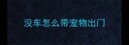 没车怎么带宠物出门