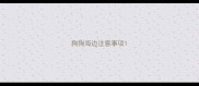 狗狗海边注意事项