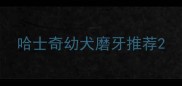 哈士奇幼犬磨牙推荐