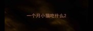 一个月小猫吃什么