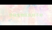 侨城宠物医院好不好