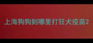 上海狗狗到哪里打狂犬疫苗