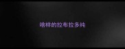 啥样的拉布拉多纯