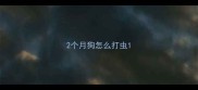2个月狗怎么打虫