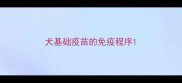 犬基础疫苗的免疫程序