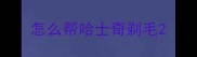 怎么帮哈士奇剃毛