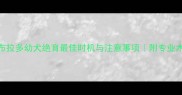 科学养宠必读拉布拉多幼犬绝育最佳时机与注意事项附专业术前术后护理指南