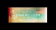 抑郁症养什么宠物