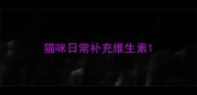猫咪日常补充维生素