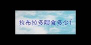 拉布拉多喂食多少
