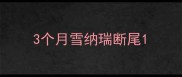 3个月雪纳瑞断尾