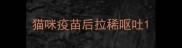 猫咪疫苗后拉稀呕吐