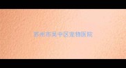 苏州市吴中区宠物医院