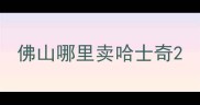 佛山哪里卖哈士奇