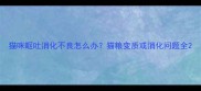 猫咪呕吐消化不良怎么办猫粮变质或消化问题全