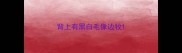 背上有黑白毛像边牧
