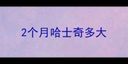 2个月哈士奇多大