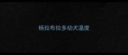 杨拉布拉多幼犬温度
