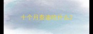 十个月泰迪吃什么