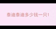 泰迪泰迪多少钱一只
