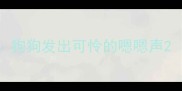 狗狗发出可怜的嗯嗯声
