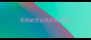 狗狗能吃白色的花菜吗