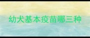 幼犬基本疫苗哪三种