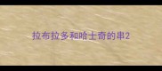 拉布拉多和哈士奇的串