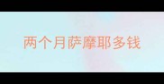 两个月萨摩耶多钱