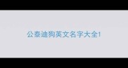 公泰迪狗英文名字大全